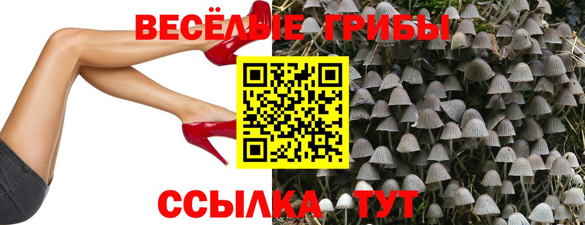 Тихорецк  Псилоцибиновые грибы MAGIC MUSHROOMS  даркнет сайт  Вход с VPN 